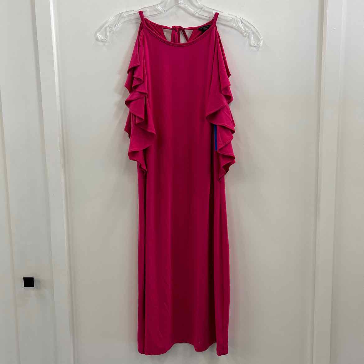 Ann Taylor Size 4P Pink Dress