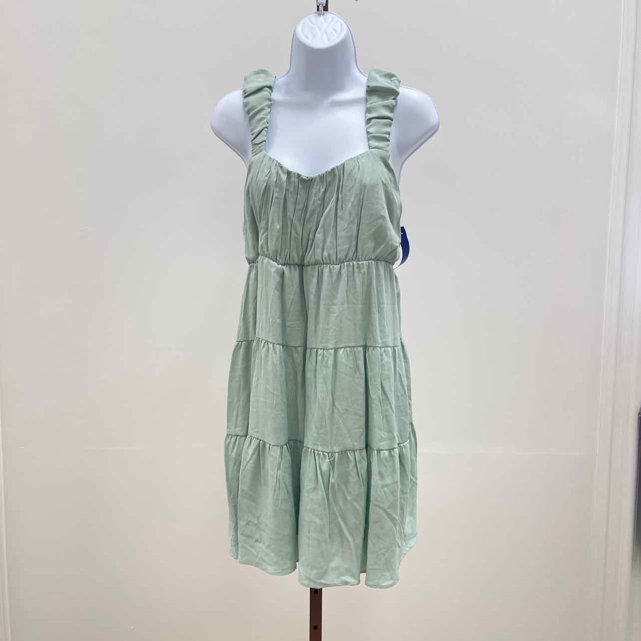 pink rose Size L Mint green New Dress