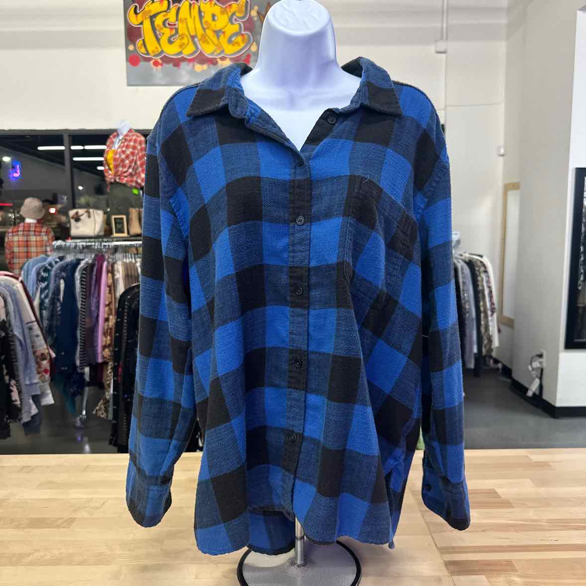American Eagle Size L Blue flannel