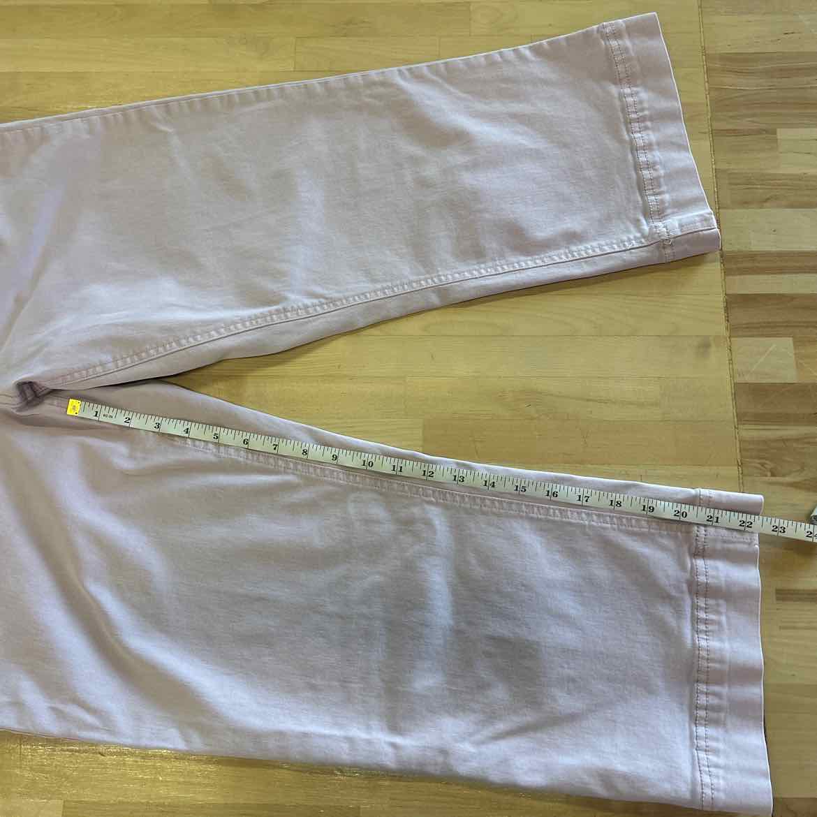 David Bitton Size 12 Purple Used Pants