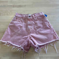 BDG Women Size 25 Pink Preloved Shorts