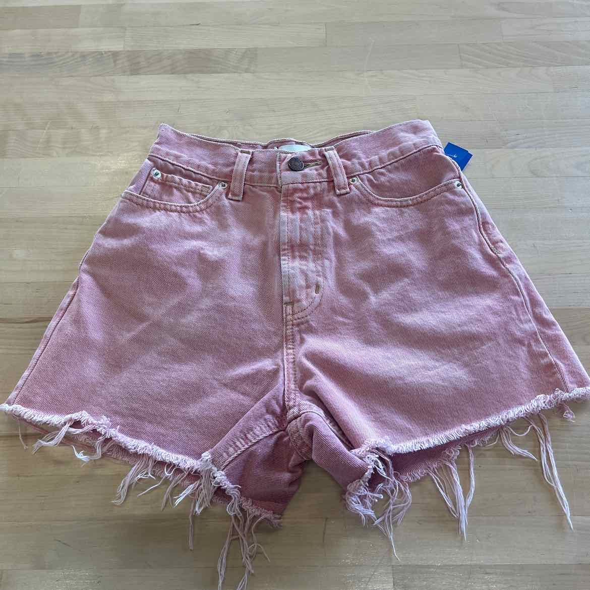 BDG Women Size 25 Pink Preloved Shorts
