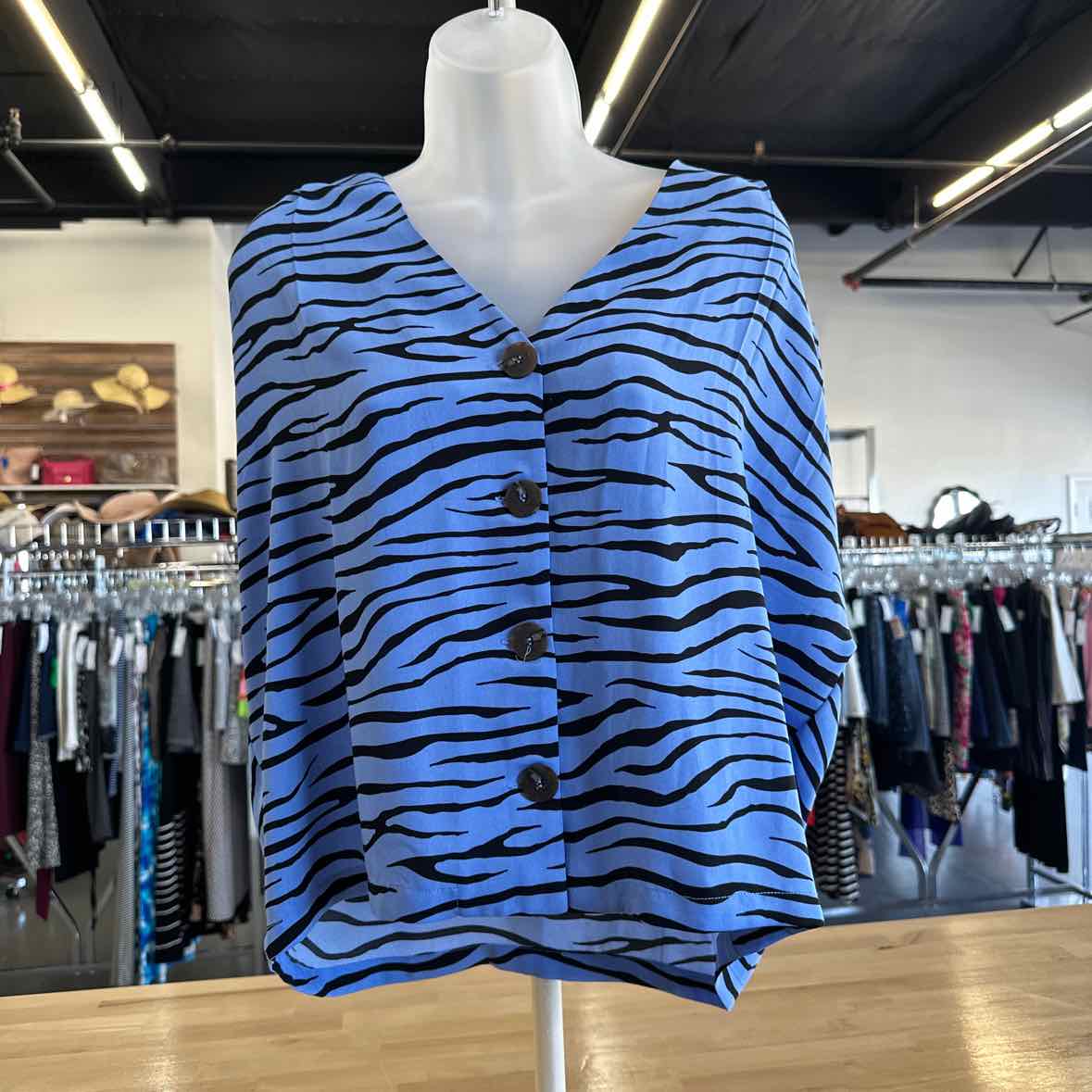 Elodie Size M Blue Button Down Shirt