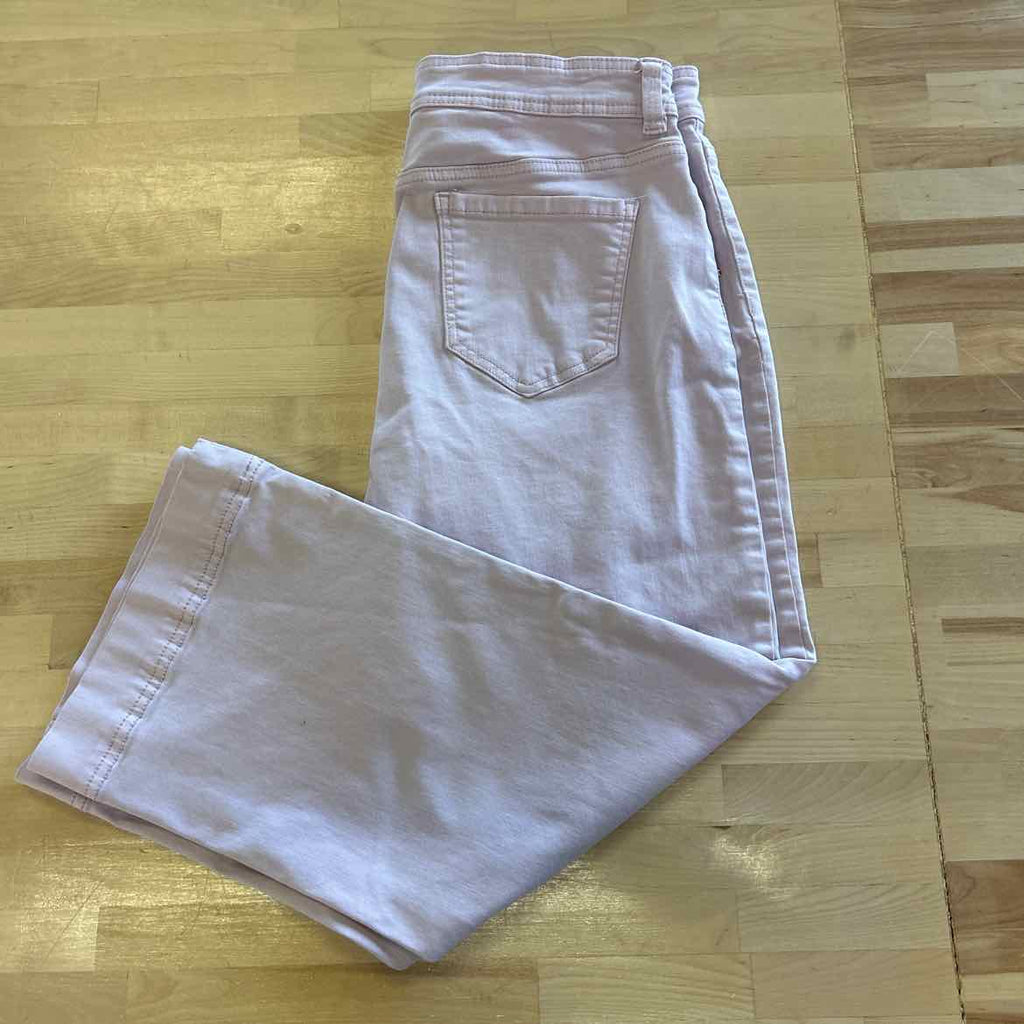 David Bitton Size 12 Purple Used Pants