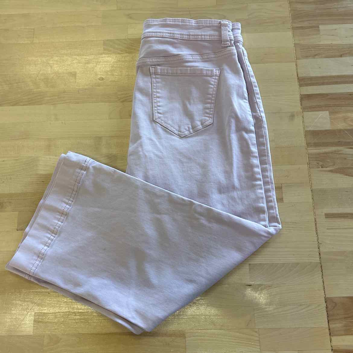 David Bitton Size 12 Purple Used Pants