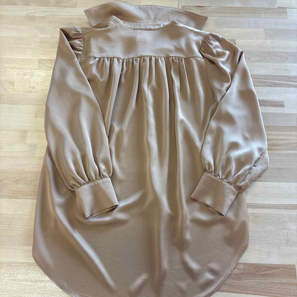 Ann Taylor Size S Brown Blouse