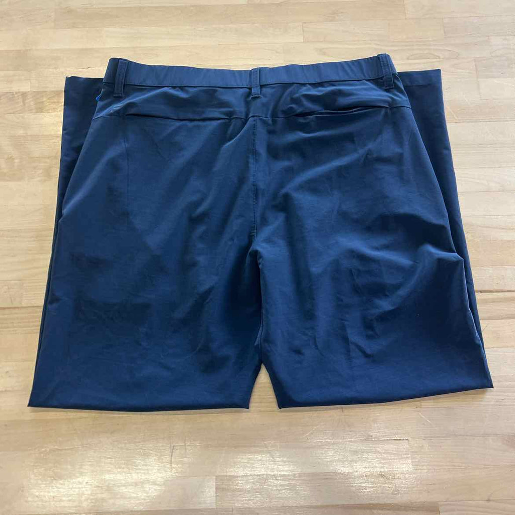 Fabletics Size L Gray MENS Pants