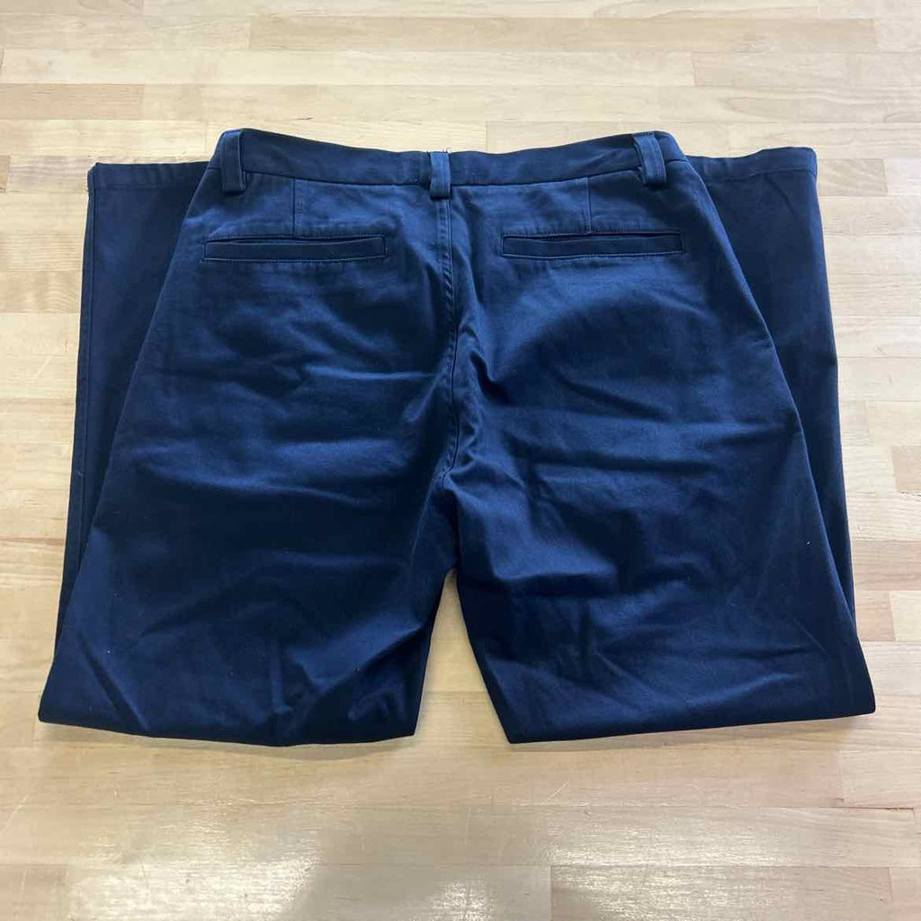 Wings + Horns Size 32 Blue Preloved Pants