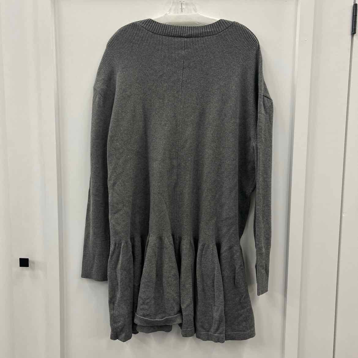 Free People Size L Gray New Sweater