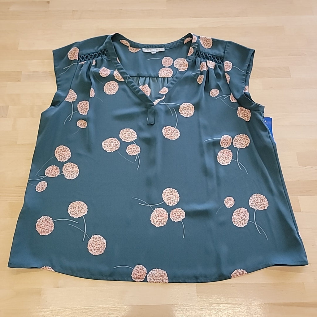 Daniel Rainn Size XXL Green Blouse