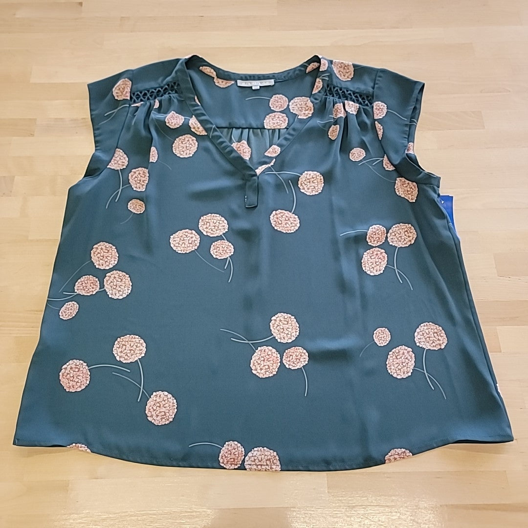 Daniel Rainn Size XXL Green Blouse