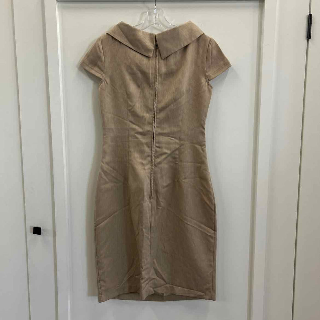 KarinStevens Size 8 Beige Preloved Dress