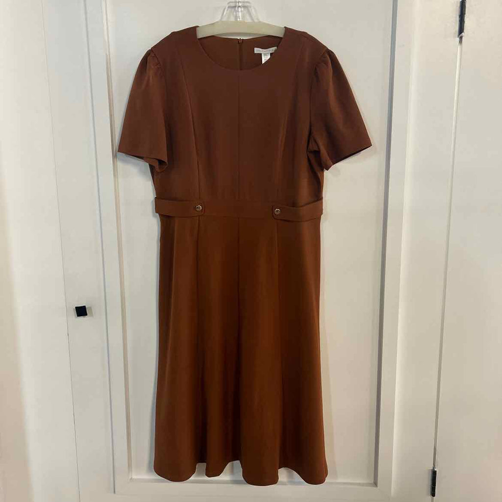 London Times Size 14 Brown Preloved Dress
