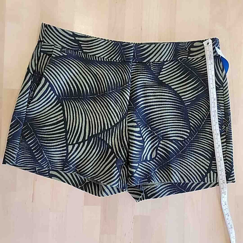 Ann Taylor Size 2 Black & Green Shorts