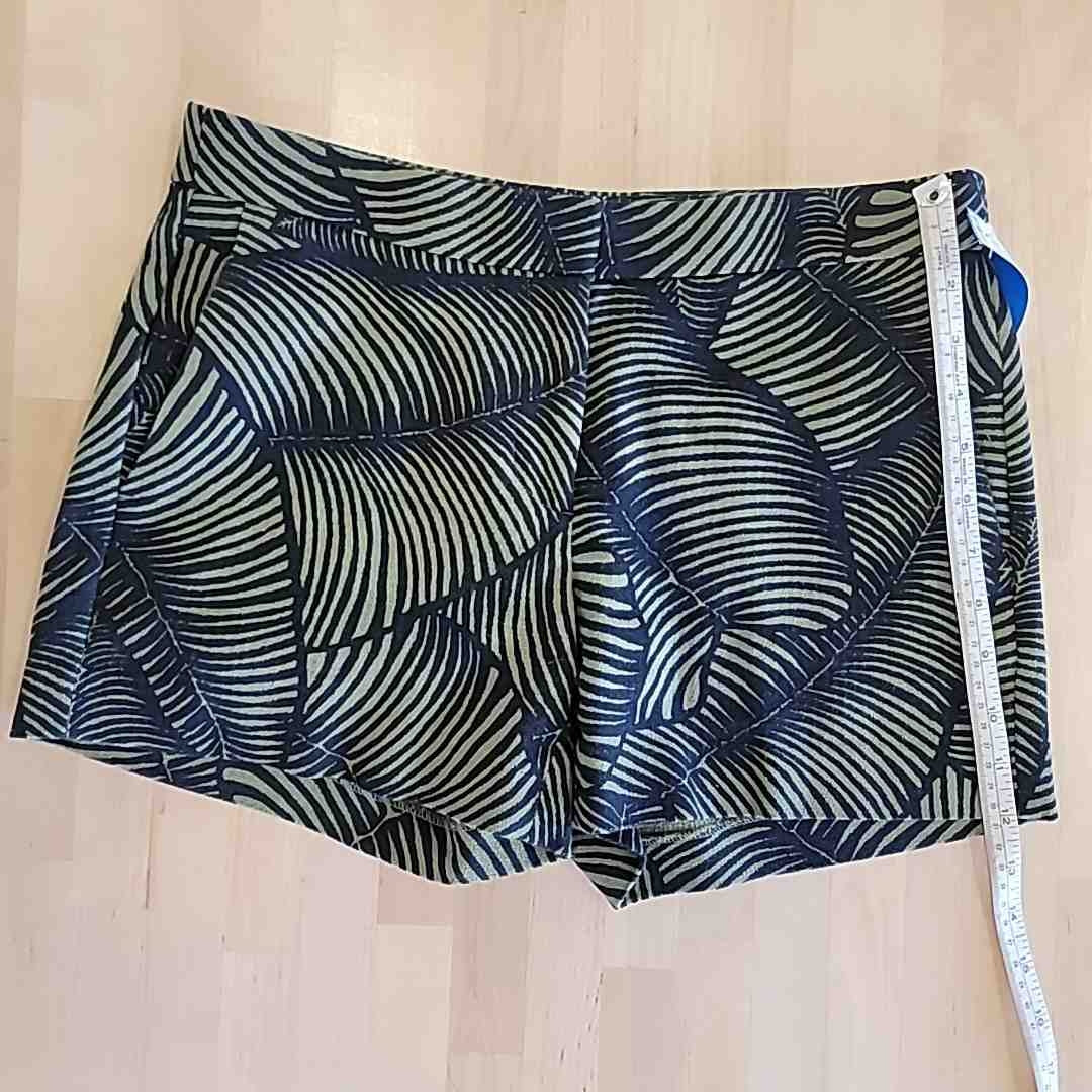 Ann Taylor Size 2 Black & Green Shorts