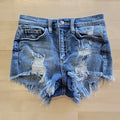 Forever 21 Size 24 Blue Shorts
