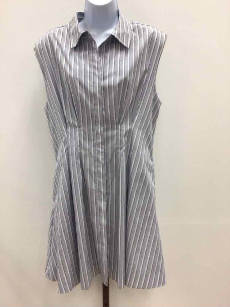 Steve Madden Size L Blue New Dress