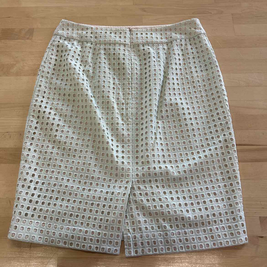 Ann Taylor Size 6P Green Preloved Skirt