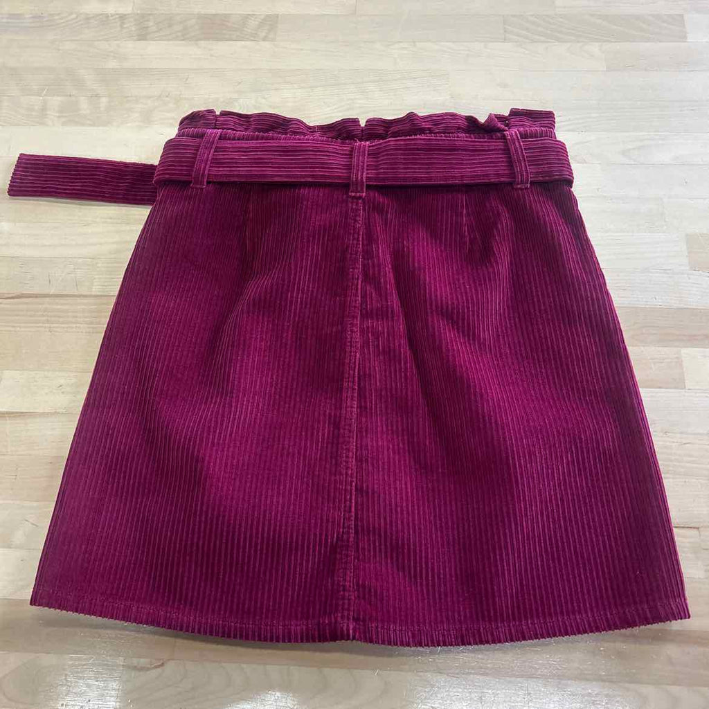 Express Size 4 Purple Corduroy Preloved Skirt