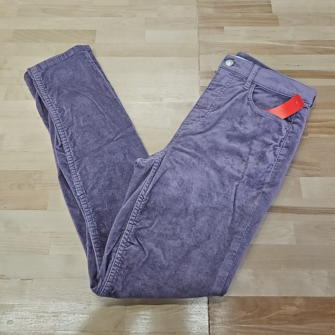Loft Size 2 Purple Suede Preloved Pants