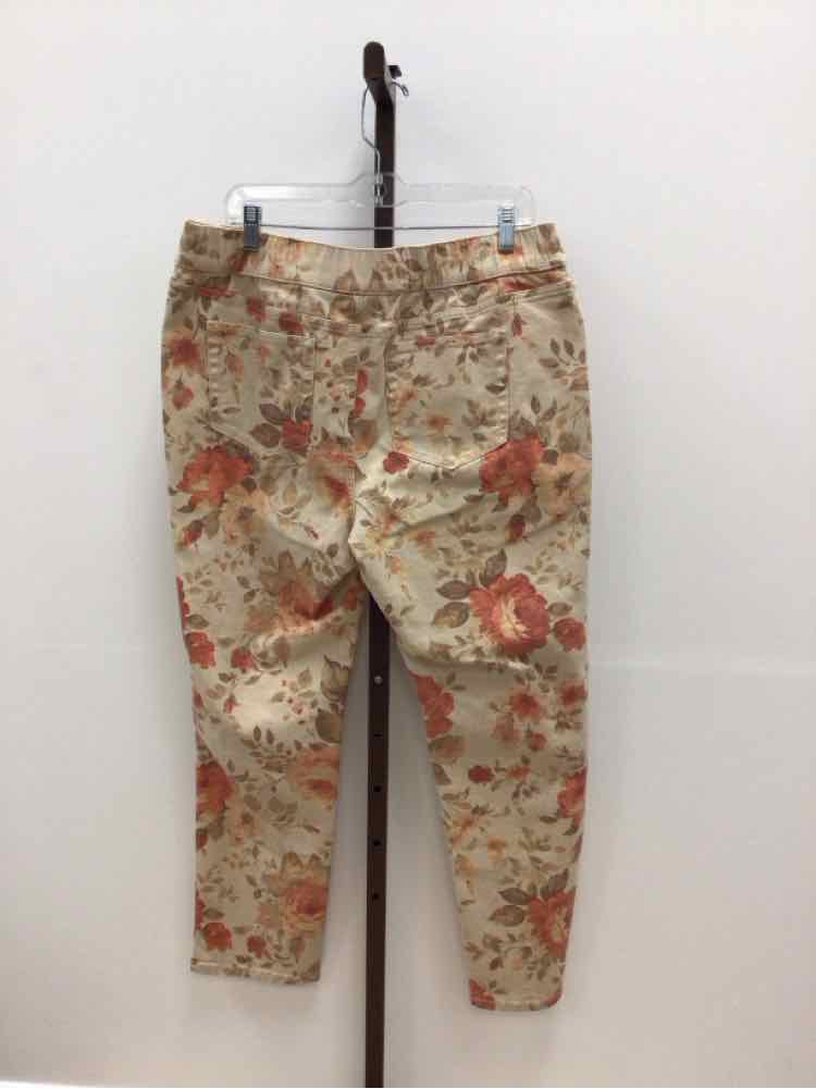 D & Co. Size L tan & orange Jeans
