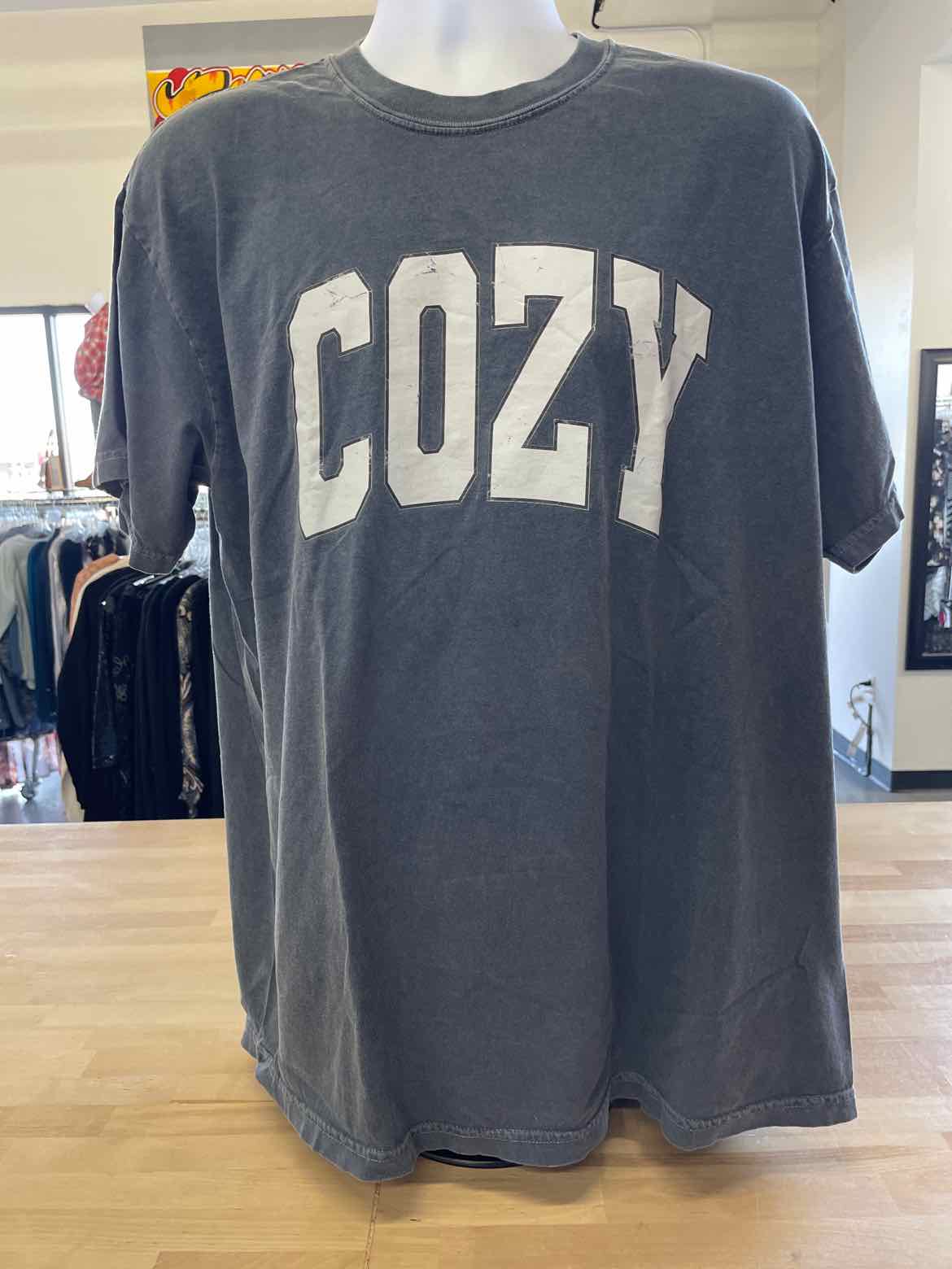 Comfort Colors Size XL Gray T-shirt