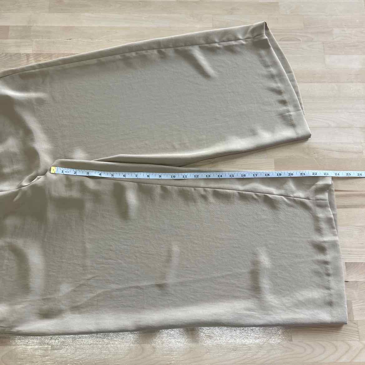 H&M Size L Tan Pants