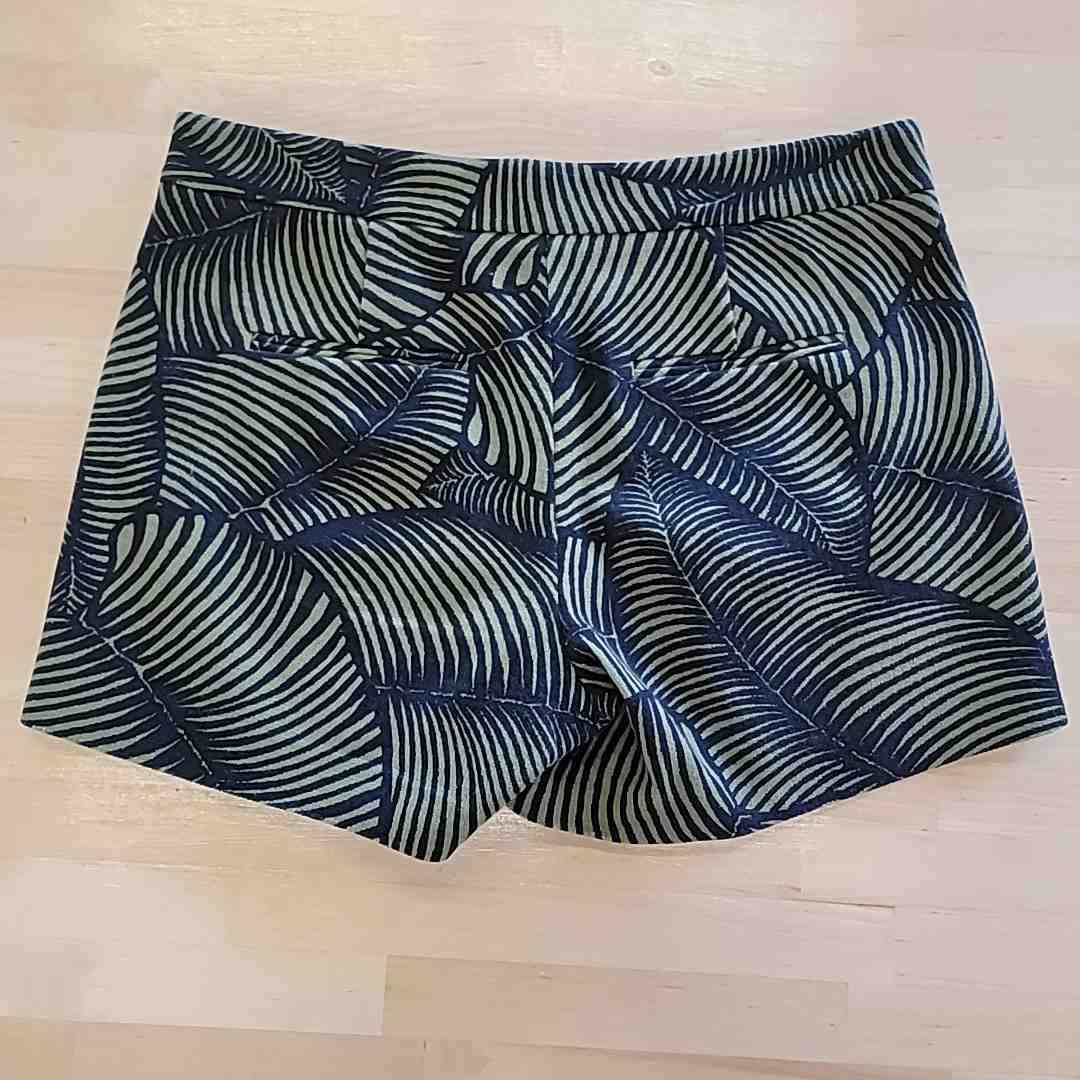 Ann Taylor Size 2 Black & Green Shorts