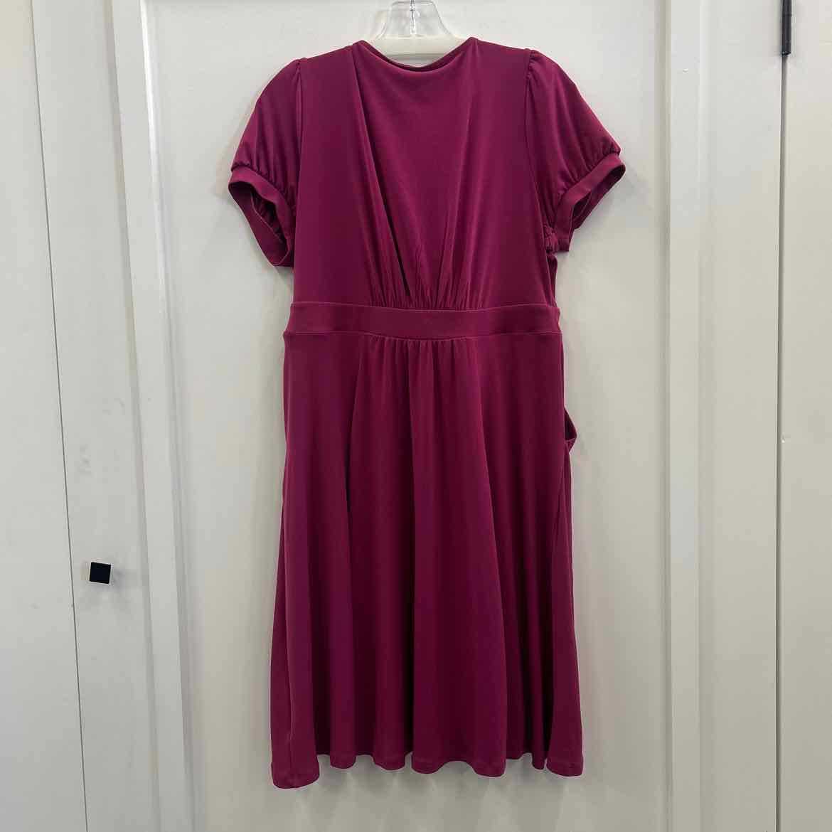 Torrid Size 0 Purple Preloved Dress
