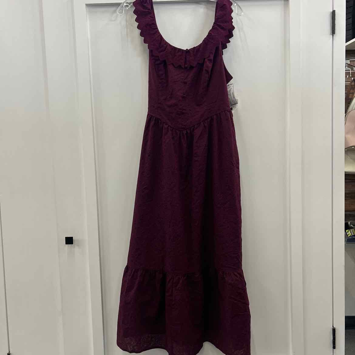 And Now This Petite Ruffled Burnout Cotton Sleeveless Maxi Dress