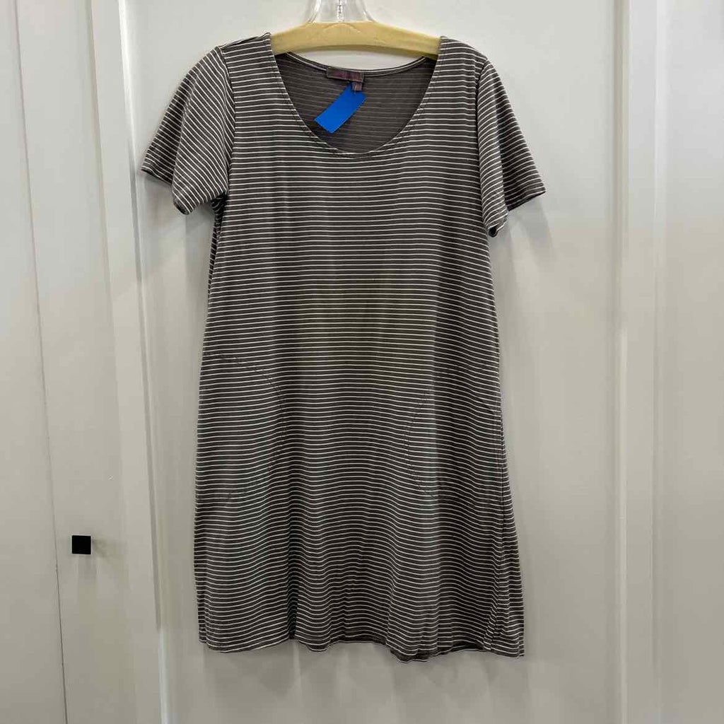 Fresh Produce Size XS Gray Preloved Dress