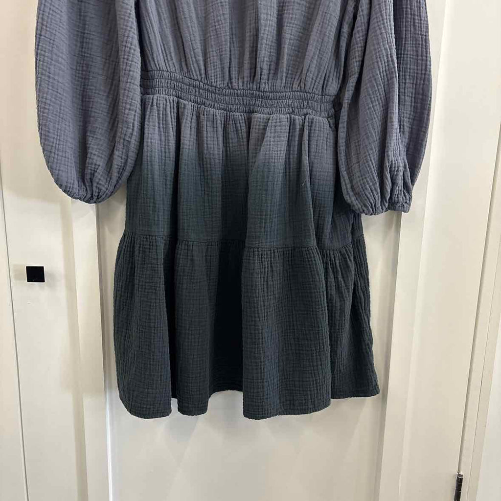 Universal Thread Size L Gray Dress