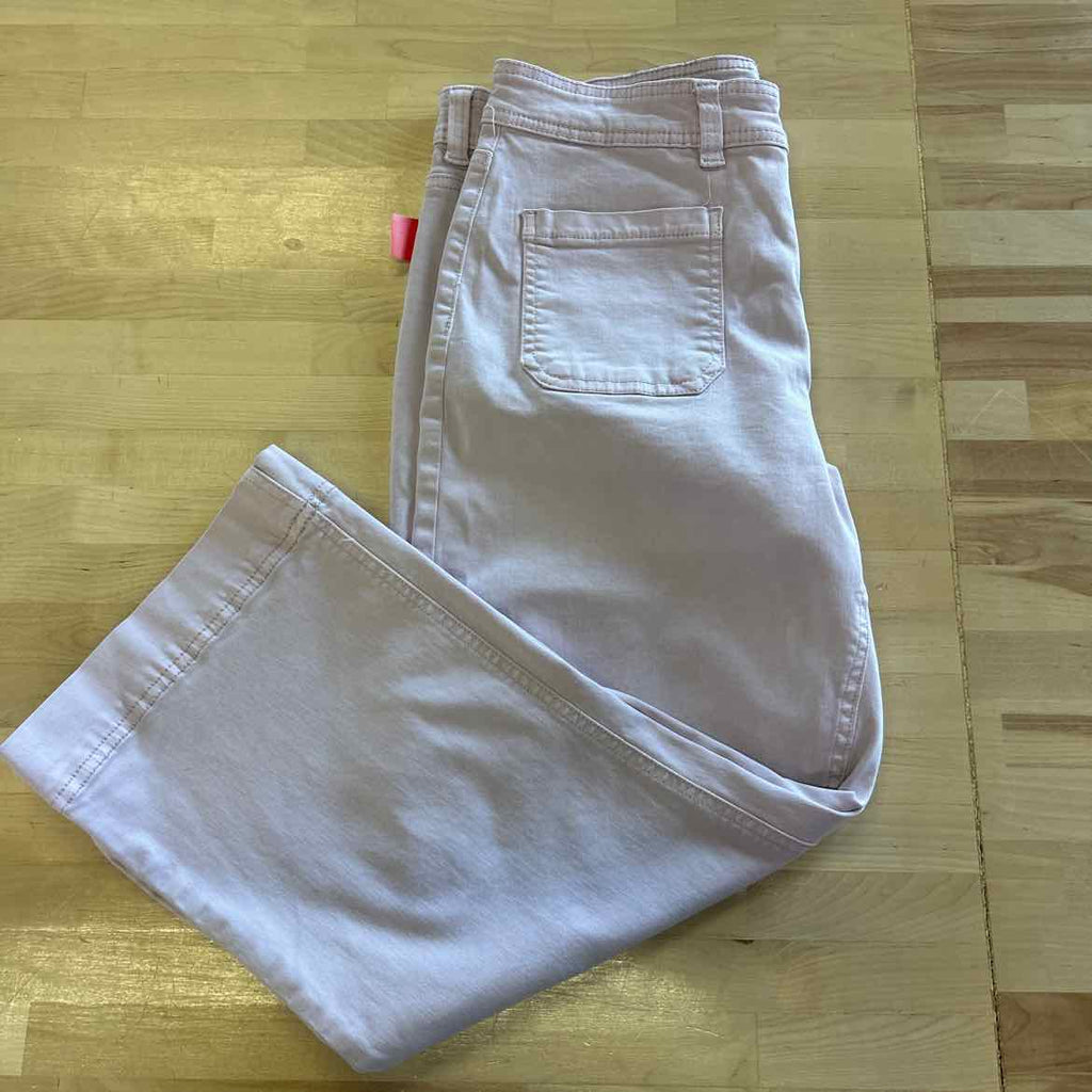 David Bitton Size 12 Purple Used Pants