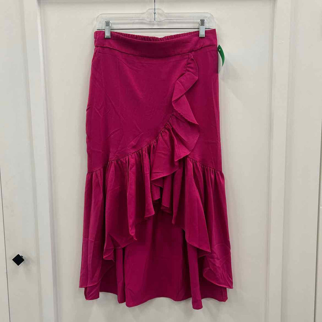 Lulumari Size M Pink Satin Preloved Skirt