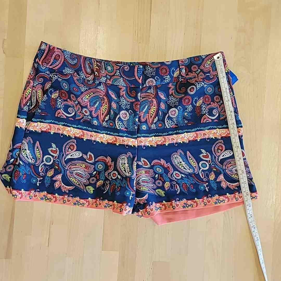 Loft Size 2 Multi-Color Shorts