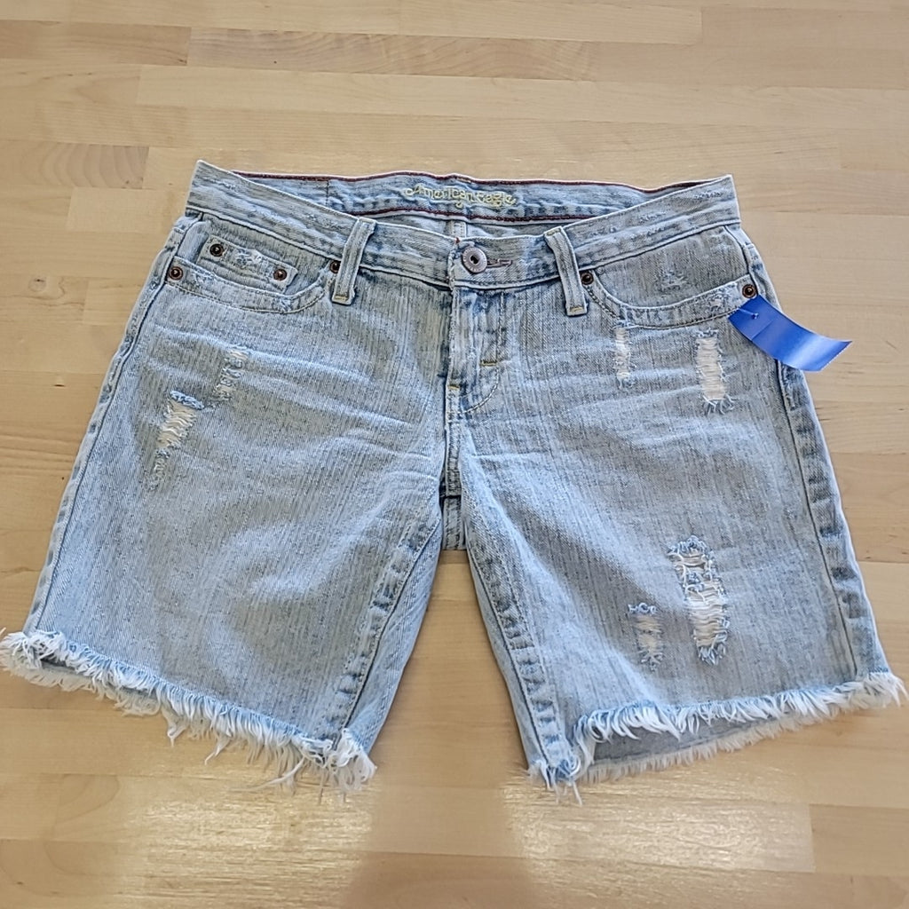 American Eagle Size 2 Blue Shorts