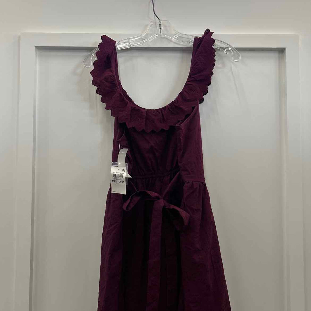 And Now This Petite Ruffled Burnout Cotton Sleeveless Maxi Dress