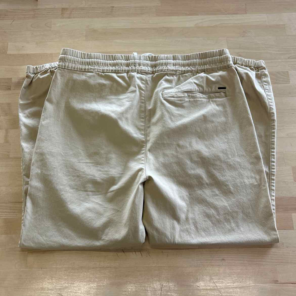 Pacsun Size L Tan MENS Pants