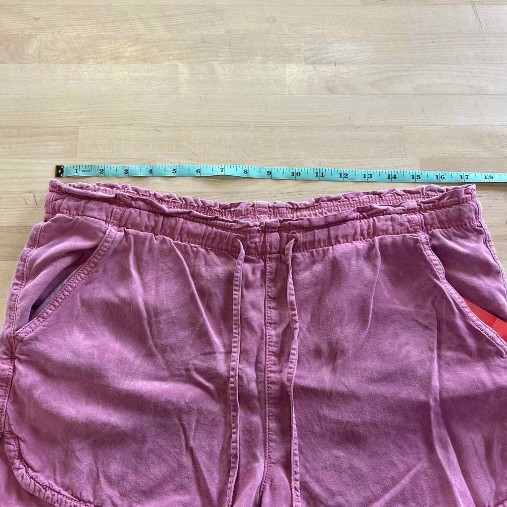 American Eagle Size M Pink Used Shorts