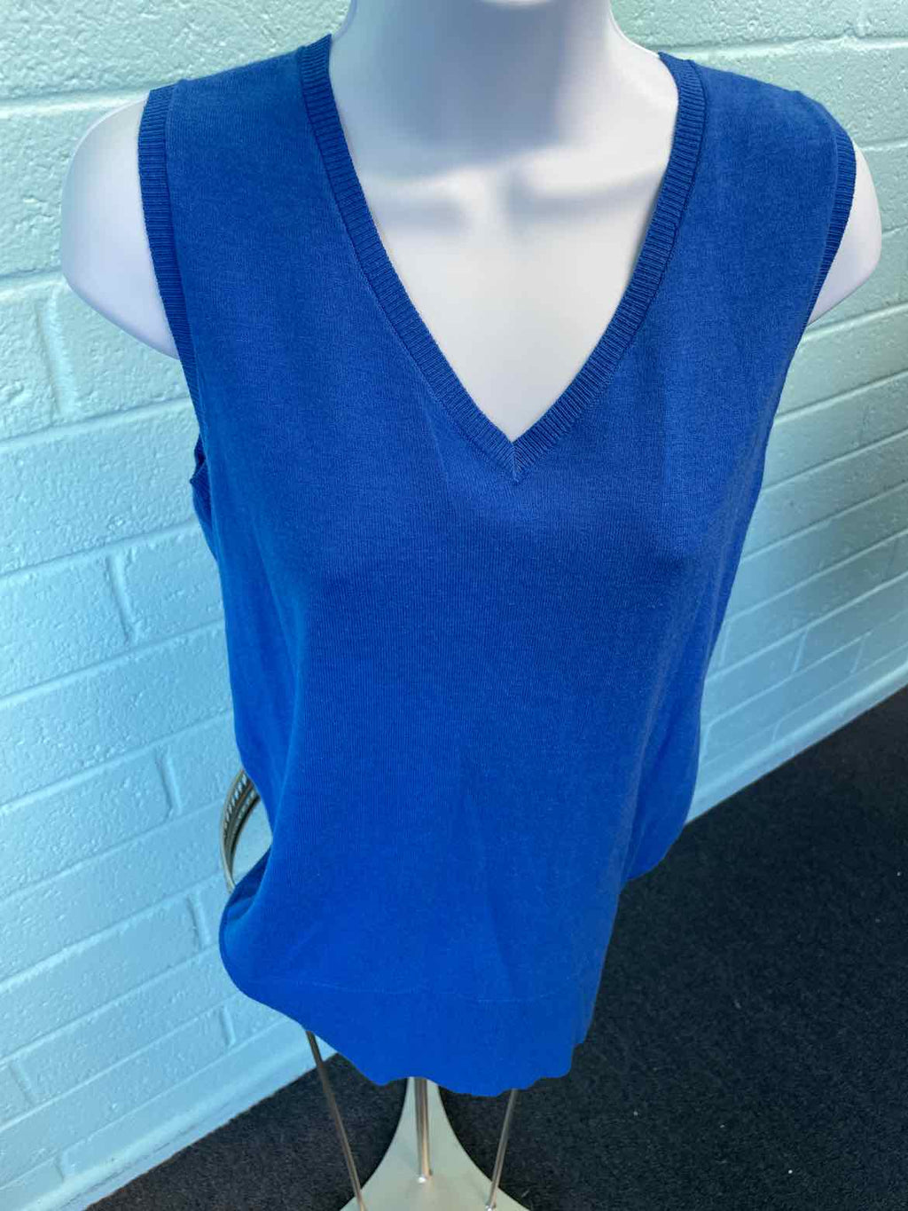 DG2 Size L Bright Blue Vest
