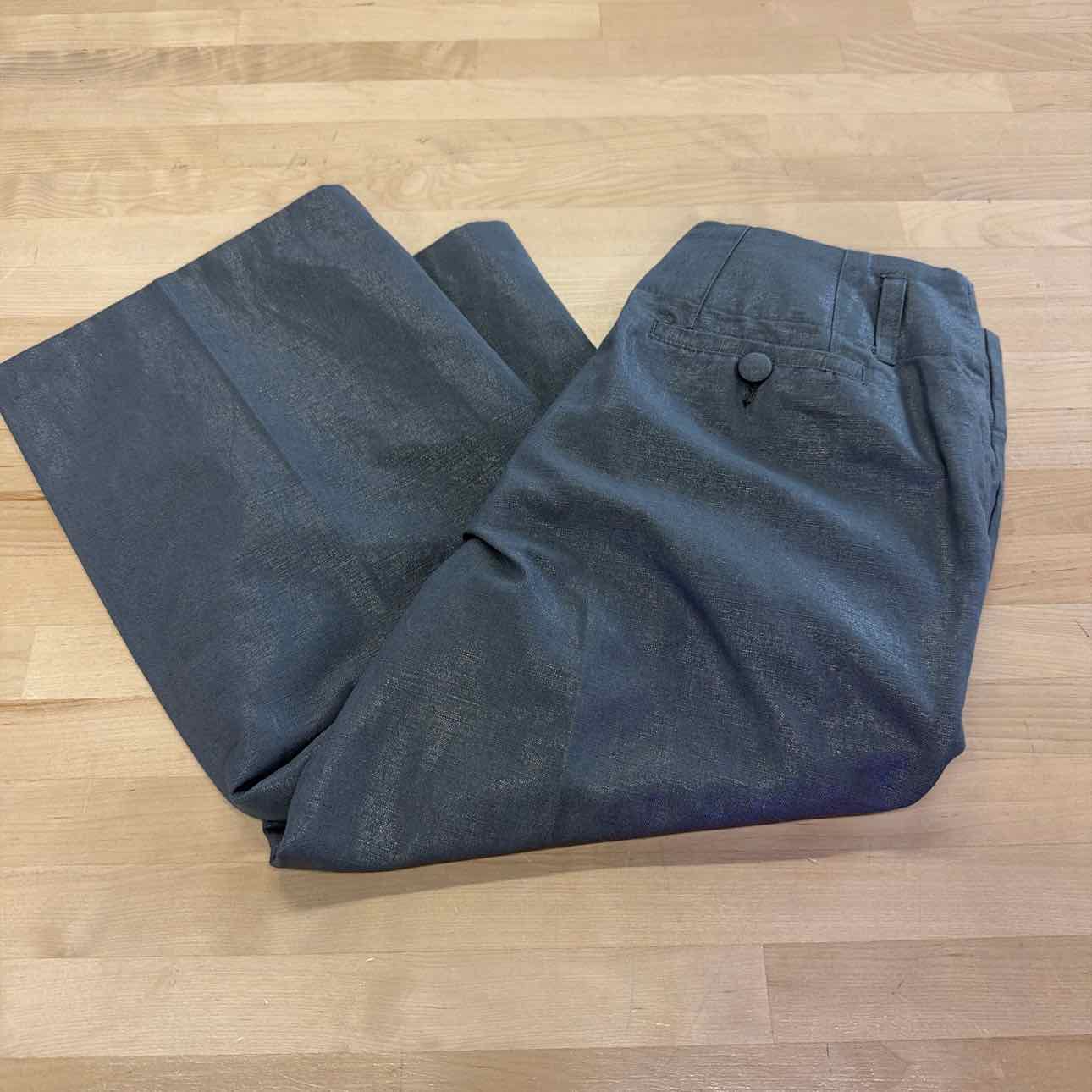 Metro style Size 4 Gray Used Pants