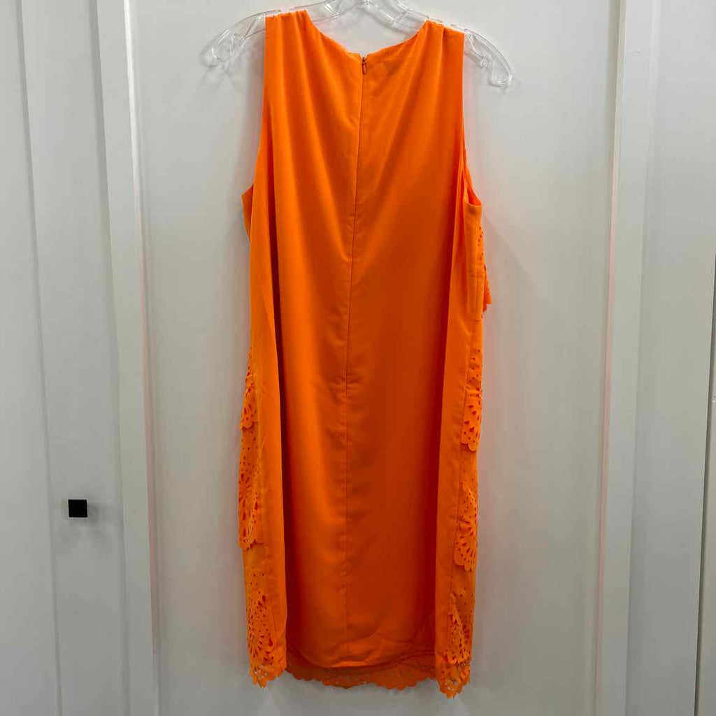 Muse Size 14 Orange Dress