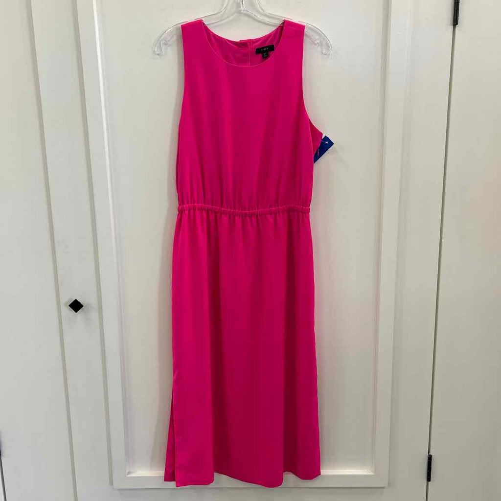 J Crew Size 10T Pink Preloved Dress