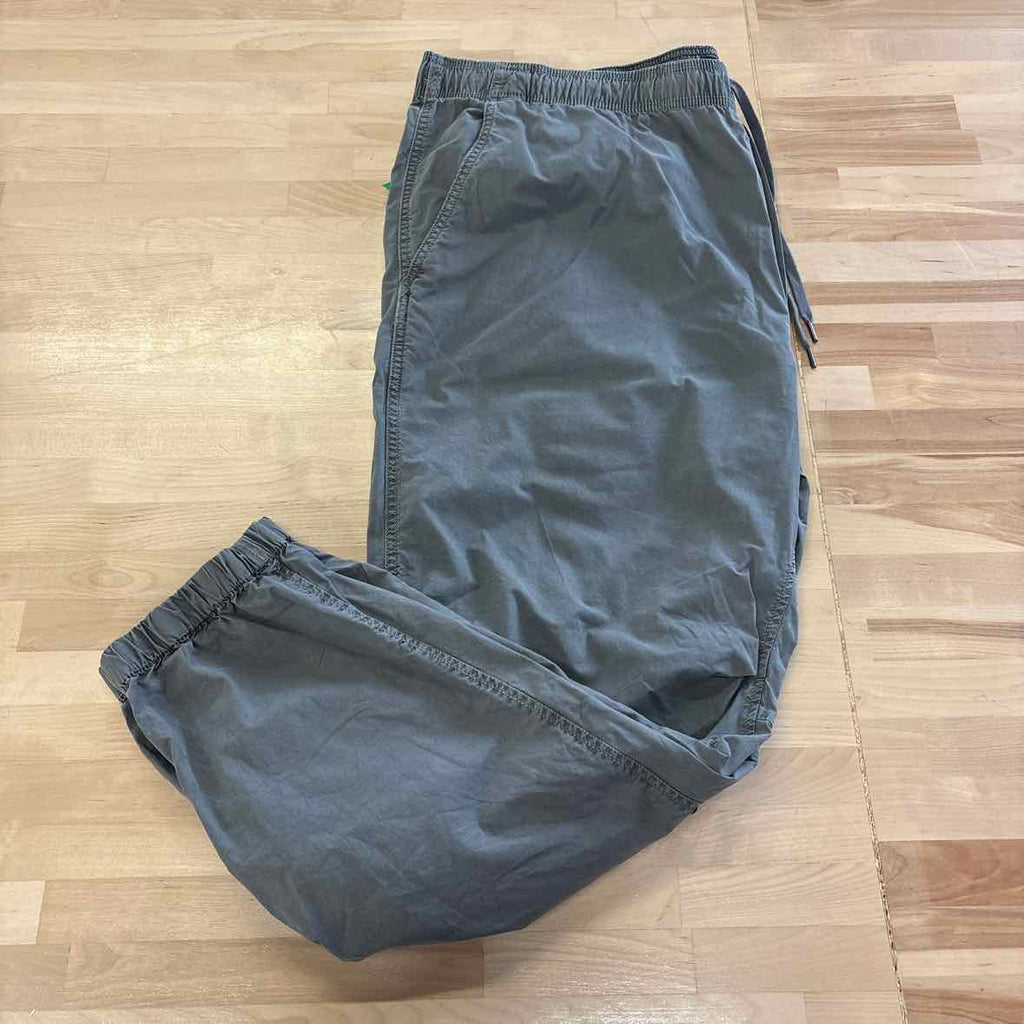 American Eagle Men's Size XXL Gray MENS Pants