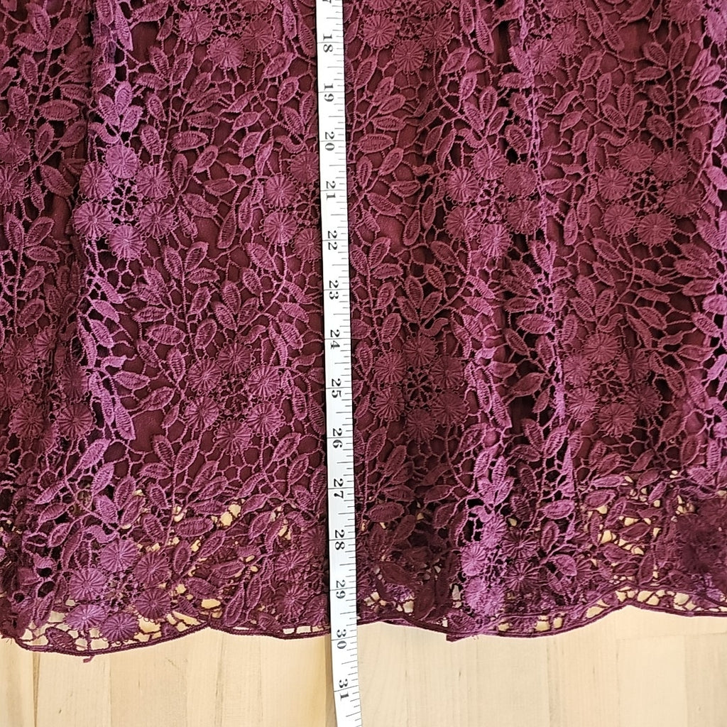 Garnet Hill Size 18 Wine Dress