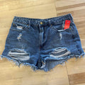 Articles Of Society Size 28 Blue Preloved Shorts