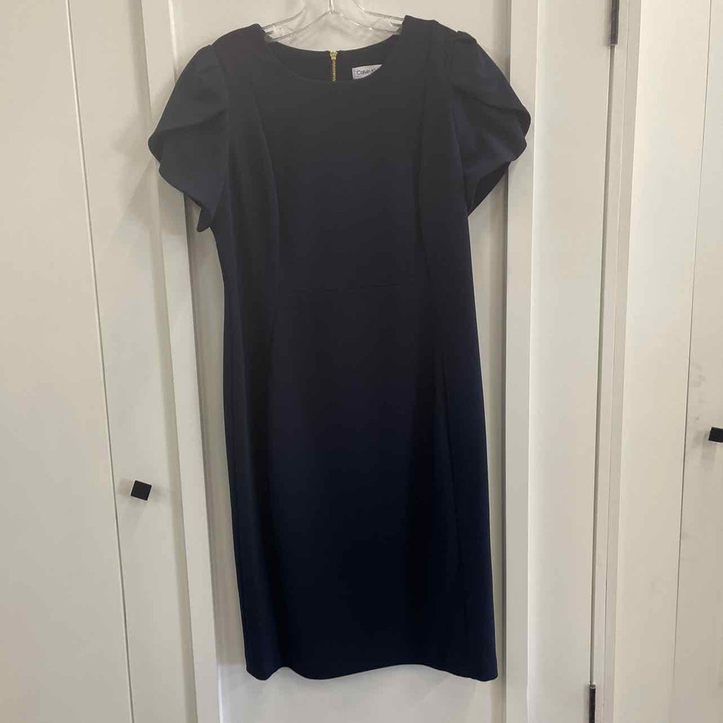 Calvin Klein Size 14 Blue Preloved Dress