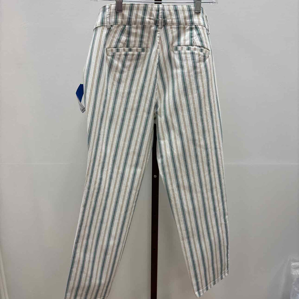 Loft Size 10 Blue White Preloved Pants