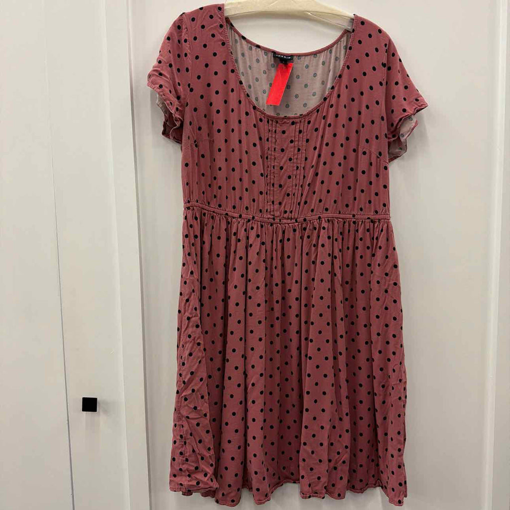 Torrid Size 1 Purple & Black Used Dress