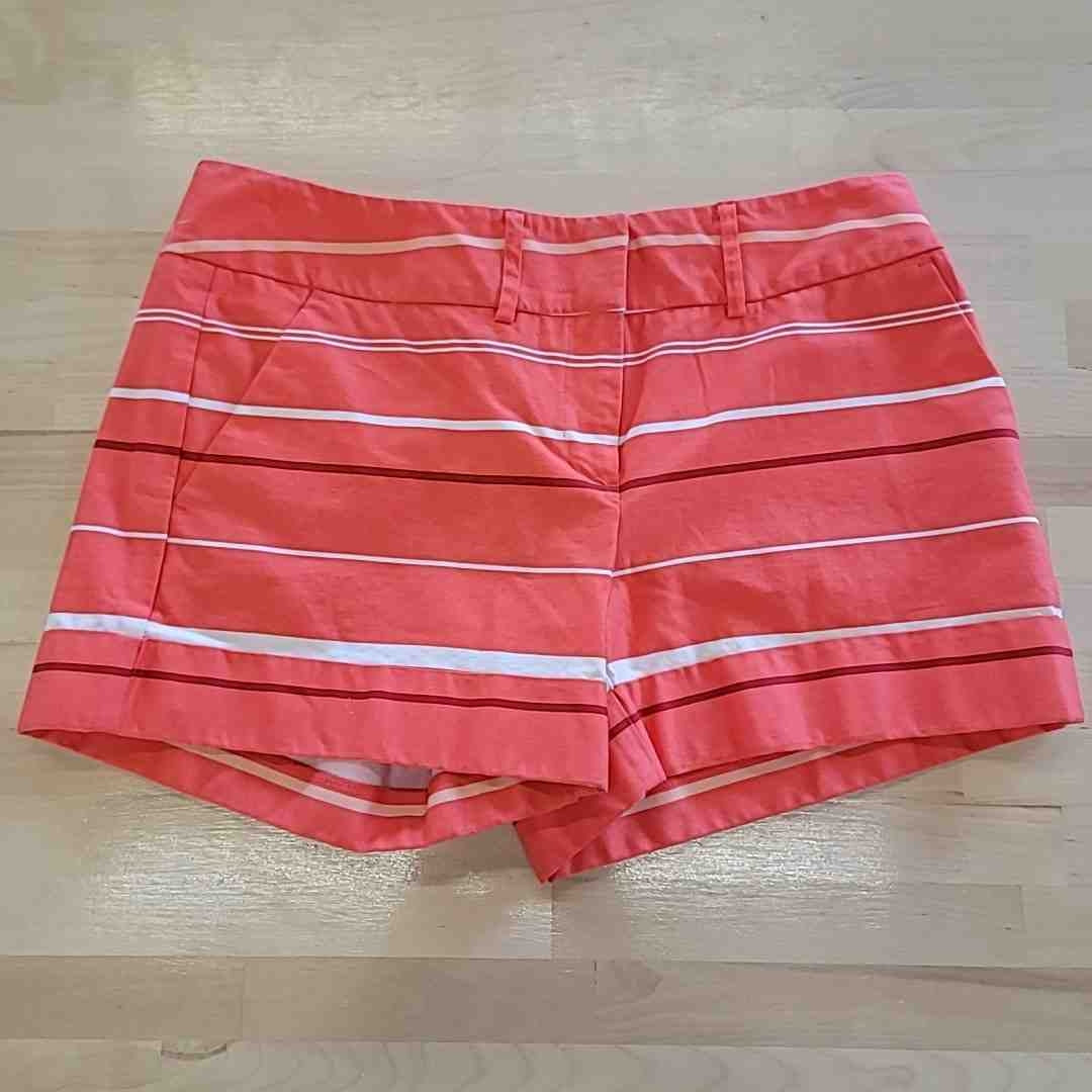7th avenue Size 2 Orange Shorts